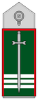 Cadet Sergeant