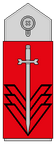 Command Sergeant Major